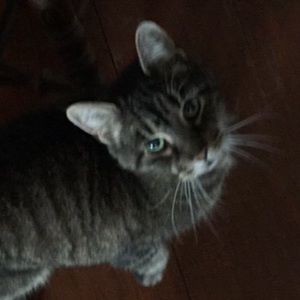 Meet your Posher, Ariel